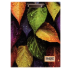 Shape MDF Clipboard (24cm x 35.5cm)